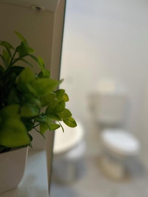 Residence Zar 8 Trieste Eksteriør bilde